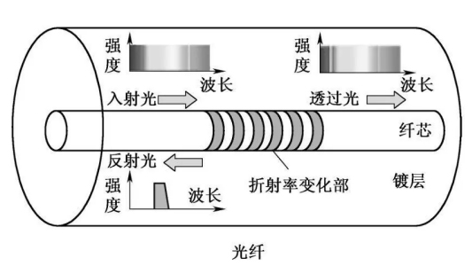 光纤损耗